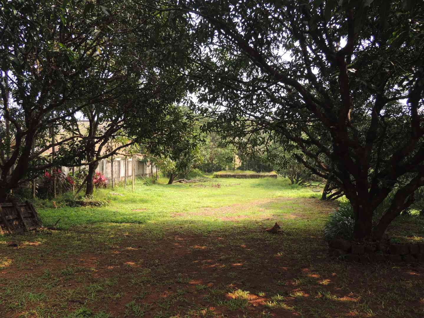 Authentic Goan Get-Togethers