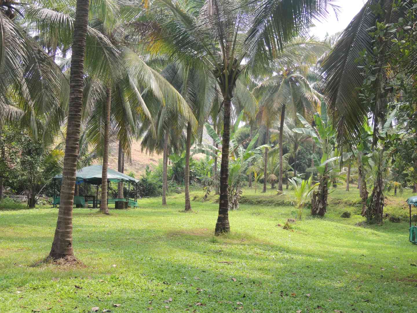 Soulful Pre-Wedding Shoots & Gatherings