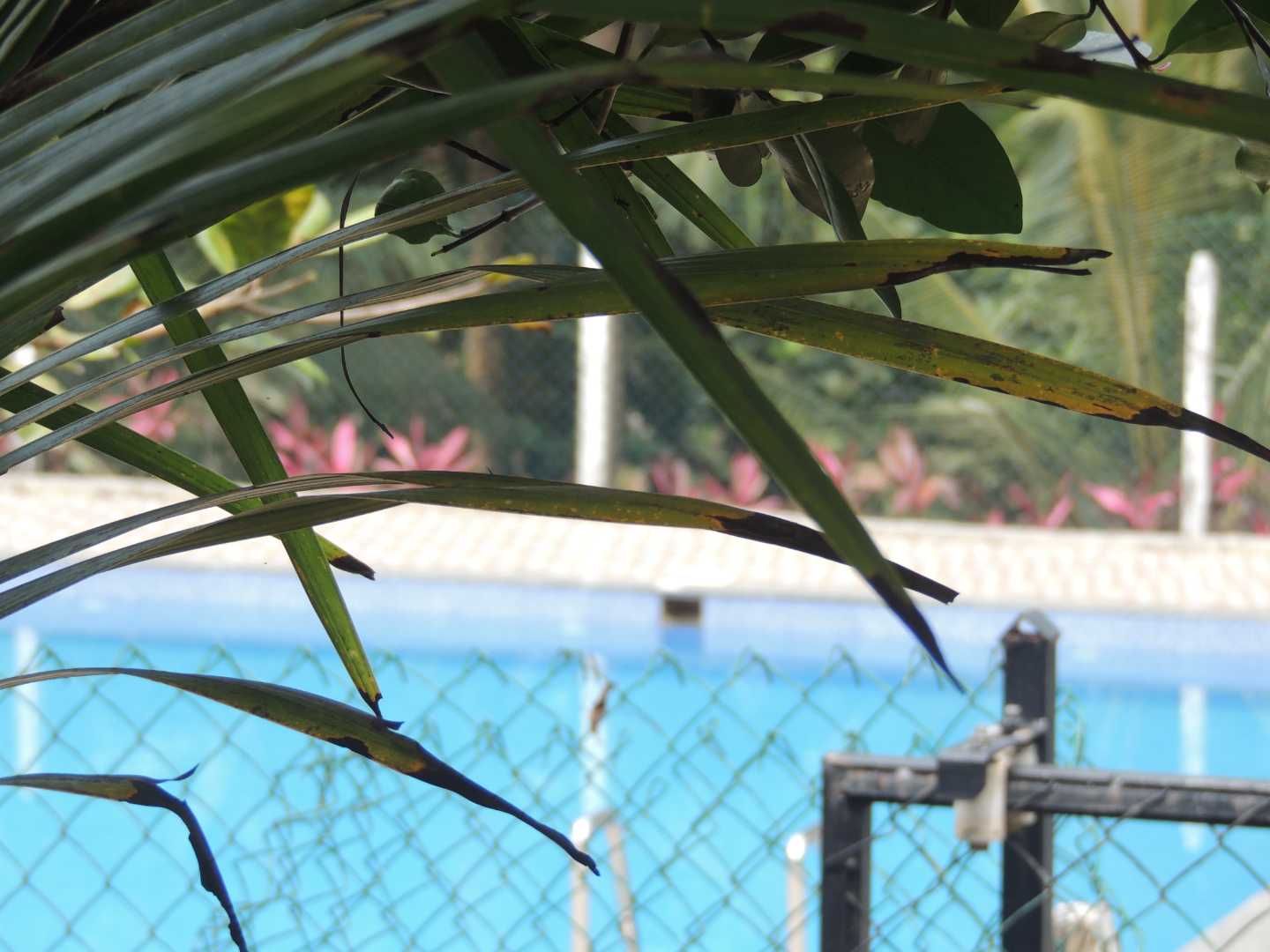 Rejuvenating Corporate Retreats in Goa