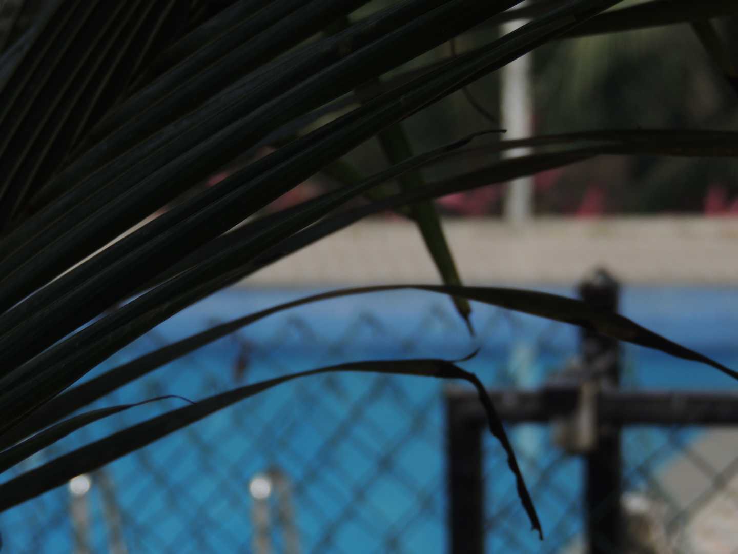 The Natural Seasonal Pool