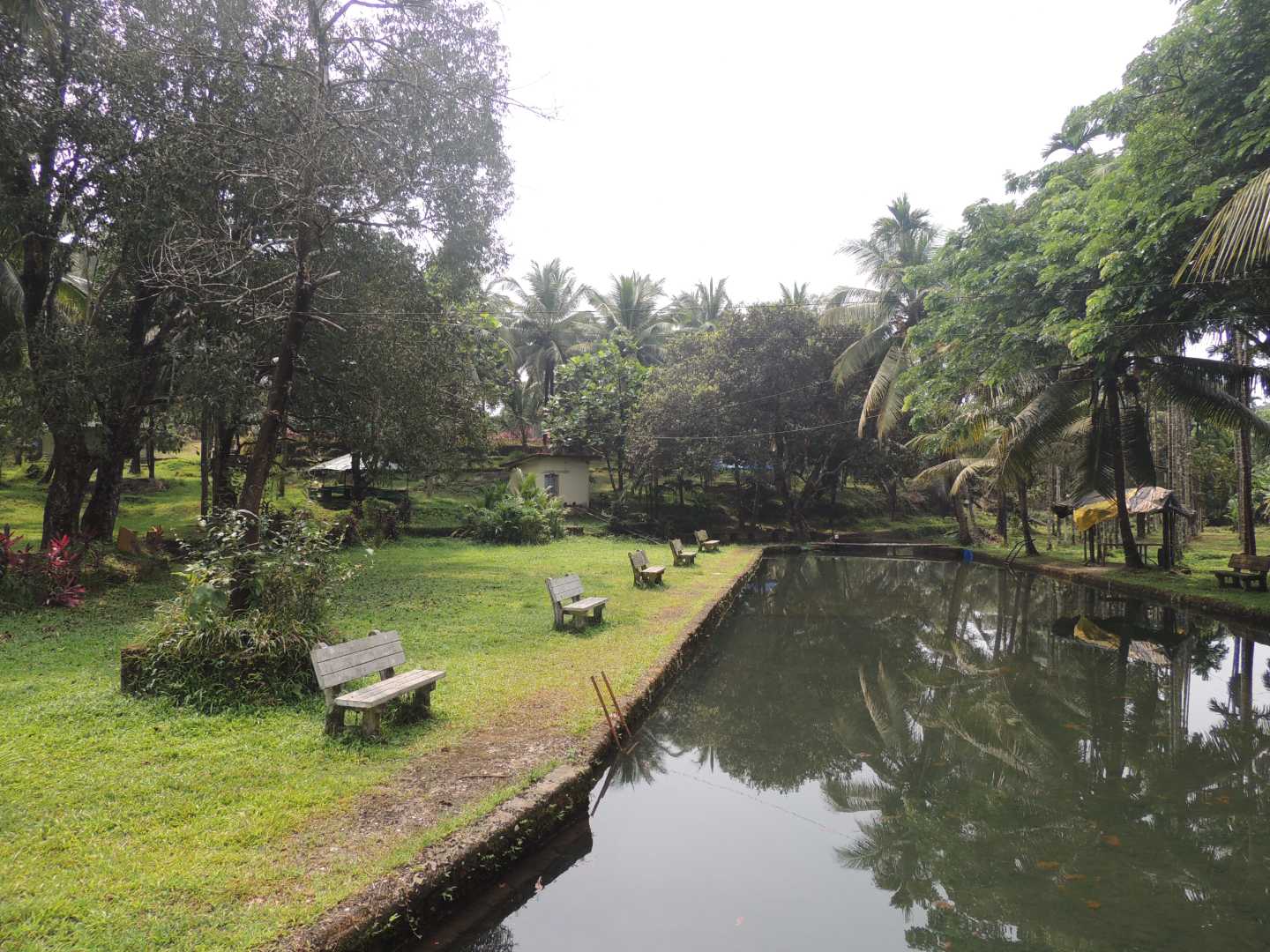 Restorative Wellness & Yoga Retreats